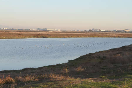 Palo Alto Baylandsの写真素材