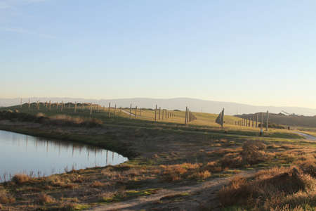 Palo Alto Baylandsの写真素材