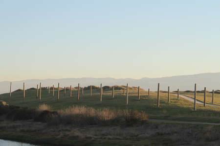 Palo Alto Baylandsの写真素材