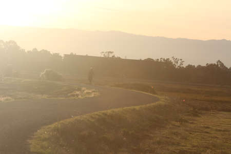 Palo Alto Baylandsの写真素材