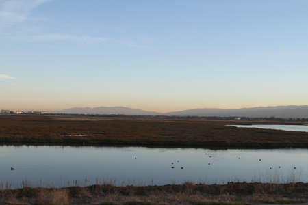 Palo Alto Baylandsの写真素材