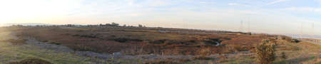Palo alto baylands