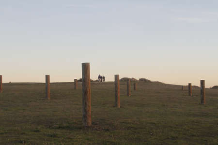 Palo Alto Baylandsの写真素材