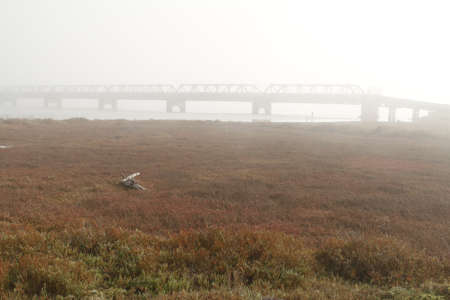 Industrial zone - water pipelinewの写真素材