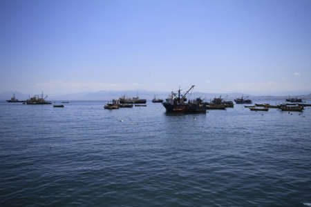 Harbour at Coquimbo Chile
