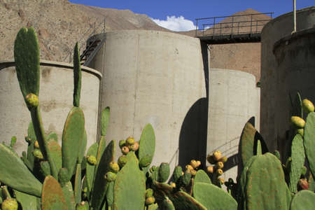 Pisco sour distillery in Pisco Elquiの写真素材