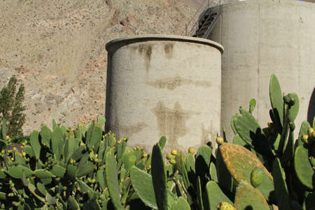 Pisco sour distillery in Pisco Elquiの写真素材