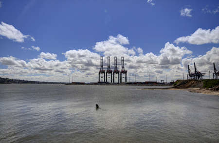 Port of Montevideo Uruguay