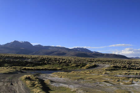 Parque Nacional Sajama
