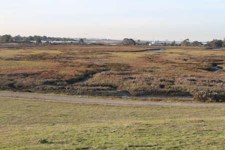 Palo Alto Baylandsのeditorial素材