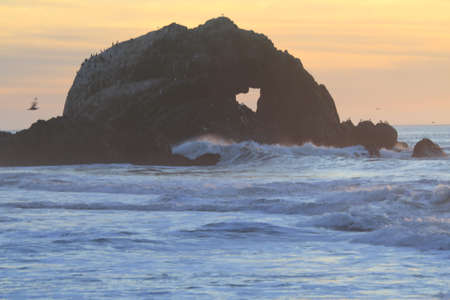 San Francisco Lands Endの写真素材