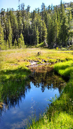 Exploring backcountry of california - desolation wilderness, summer 2015のeditorial素材