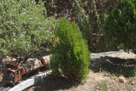 View of model railway, garden railway tour, Bay area, california, summer 2015のeditorial素材