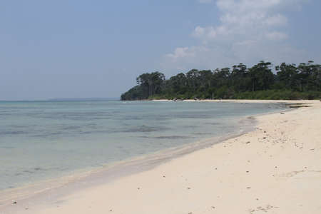beaches at the andamans, white sand and warm water