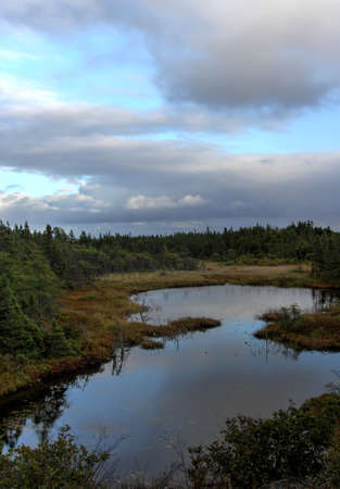 view of Nature in NewFoundLand, canada