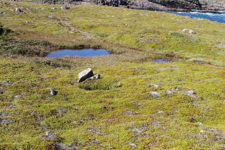 View of cape spearの写真素材