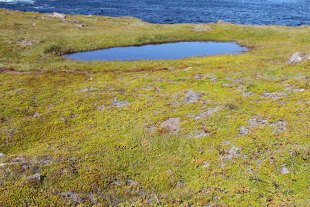 View of cape spearの写真素材