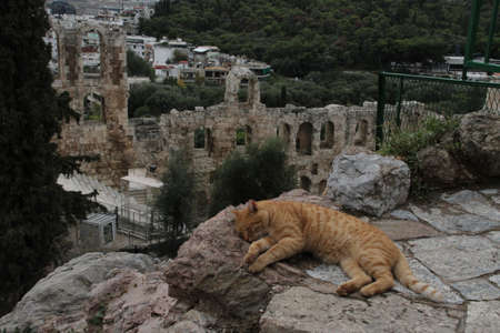View from Acropolis, Greeceの写真素材