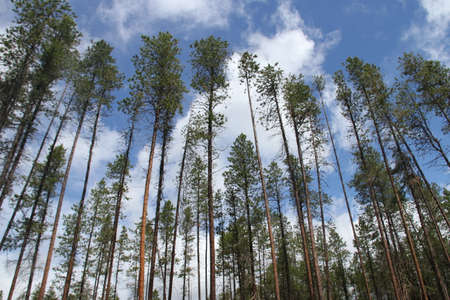 Inside Glacier National Park, Montana, USA