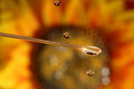Close up of Water drops and Flowersの写真素材