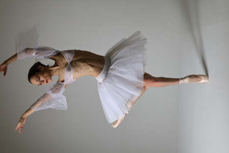 Photoshoot of a ballerina posing in a studioの写真素材