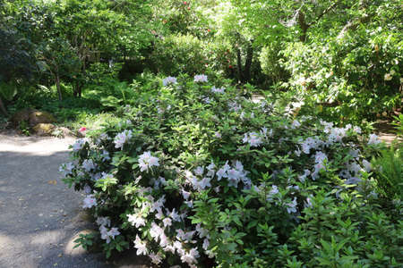 5/10/2021: Woodside, California: View of gardens and buildings at Filoli estatesのeditorial素材