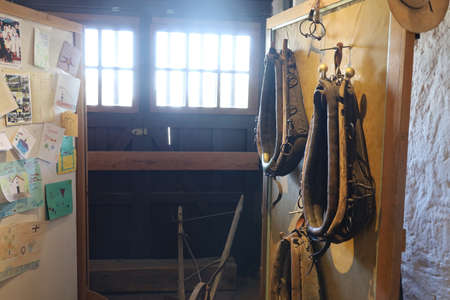 11-1-2021; San Jose: Mission San Jose, California,のeditorial素材