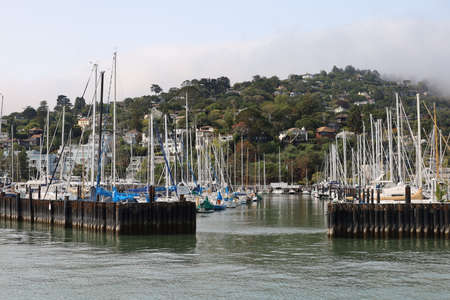 8-15-2021: Sausalito, California: Sail from Sausalito to tiburon, angel island, alcatraz island, golden gate bridge and bay bridge. On boat Mathew Turnerのeditorial素材