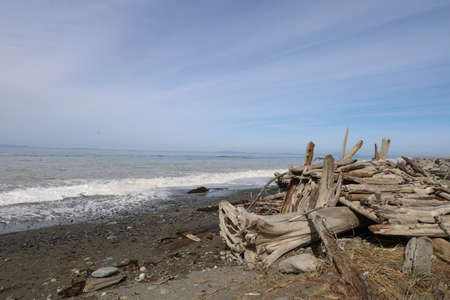 Photo of Dungeness park and state wildlife preserveの写真素材