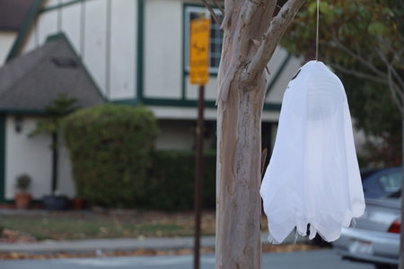 11-1-2022: Burlingame, California: Halloween decorations on streetsのeditorial素材