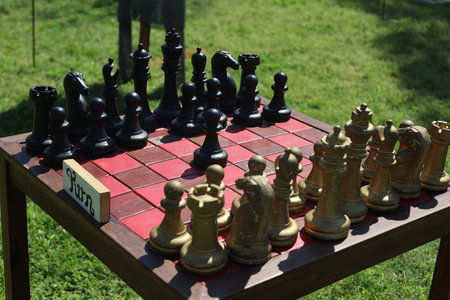 4-15-2023: Visalia, California: Chess board at a Renaissance Faireのeditorial素材