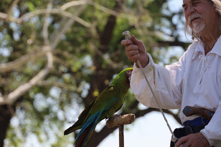 4-15-2023: Visalia, California: People in period costumes doing a parrot show at a Renaissance Faireのeditorial素材