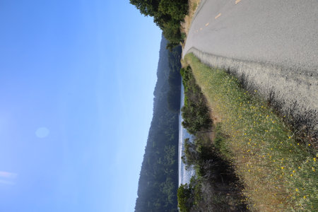 Photo of Crystal springs trail, San Mateo, California