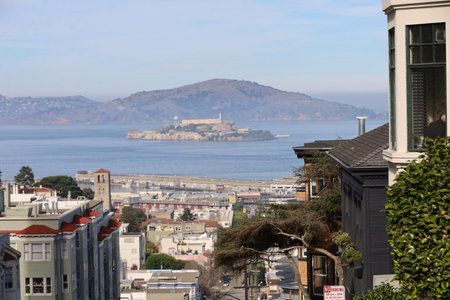 1-29-2024: San Francisco, California: Alcatraz island and San Francisco city from Ina Coolbrith park