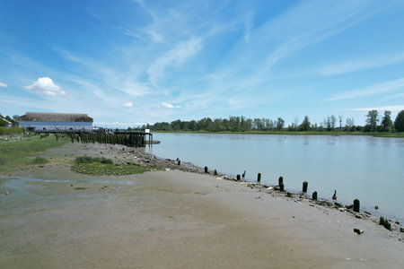 6-28-2025: Vancouver, British, Columbia: Aerial photo of beaches in Vancouver, Canadaの写真素材
