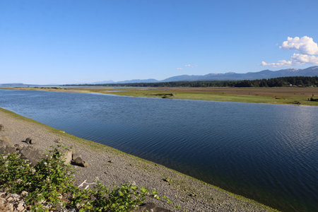 Photo of Courtenay slough, Vancouver island, Canada