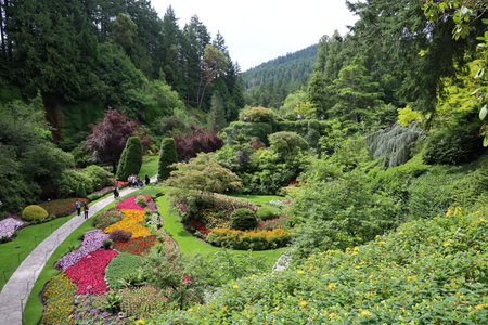 7-5-2025: Victoria, British Columbia, Canada: Buchart gardensの写真素材