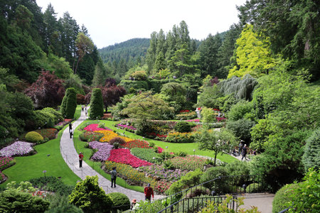 7-5-2025: Victoria, British Columbia, Canada: Buchart gardensの写真素材