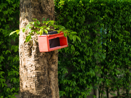 Red mail box on the tree.