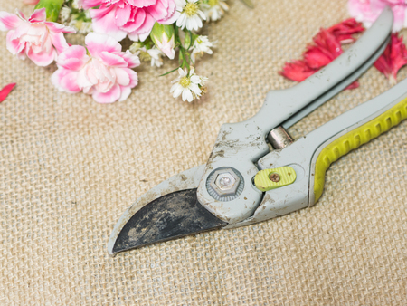 Scissor on table of flowers arrangement.の写真素材