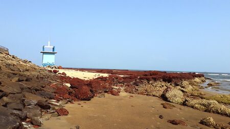 Bhogave Beachのeditorial素材