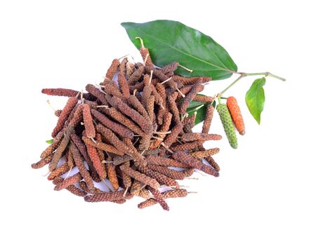 Indian long pepper on white backgroundの写真素材