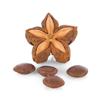sacha inchi peanut seed on white backgroundの写真素材