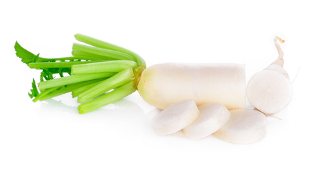 radish isolated on white backgroundの写真素材