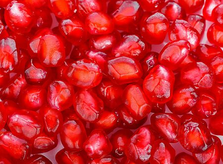 Pomegranate seed  background