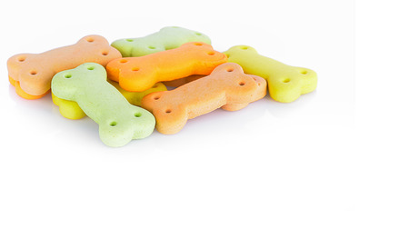 Dog food biscuit shaped like bonesの写真素材