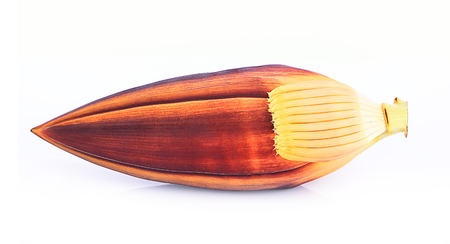 Blossom banana isolated on white backgroundの写真素材
