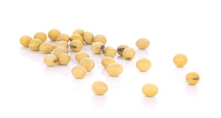 soybeans isolated on white background