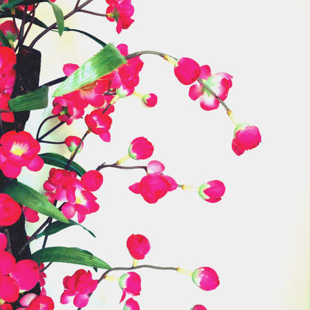 Pink flowerの素材