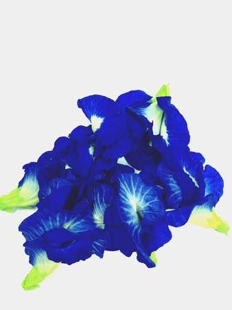 Flowers healthの素材